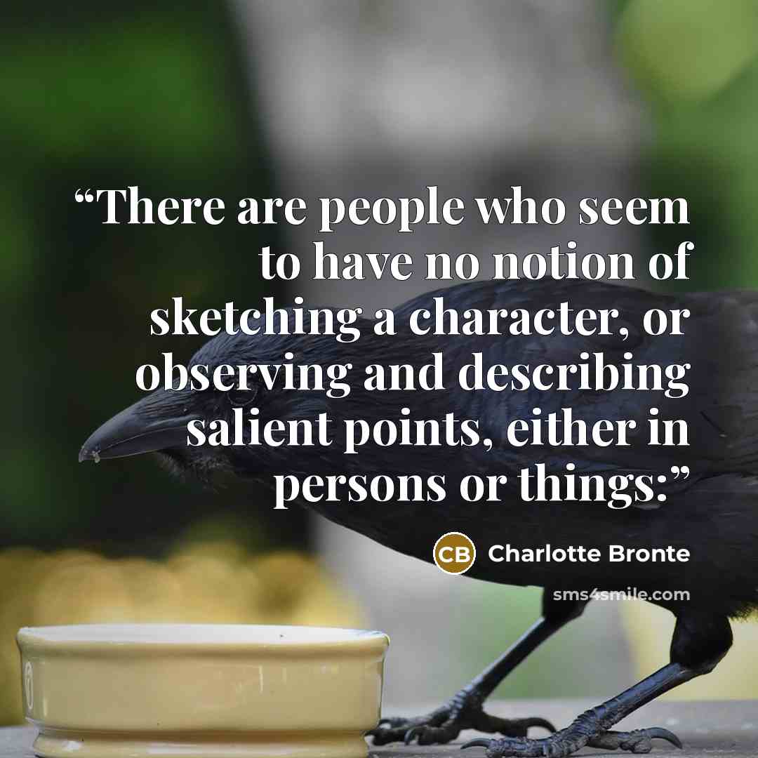 “There are people who seem to have no notion of sketching a character, or observing and describing salient points, either in persons or things:” quote by Charlotte Brontë