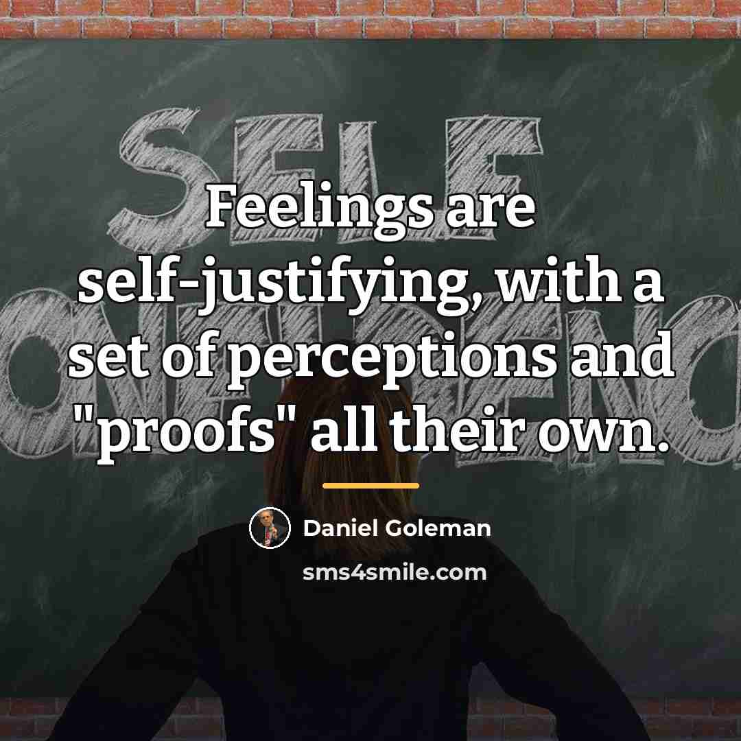“Feelings are self-justifying, with a set of perceptions and "proofs"…” quote by Daniel Goleman