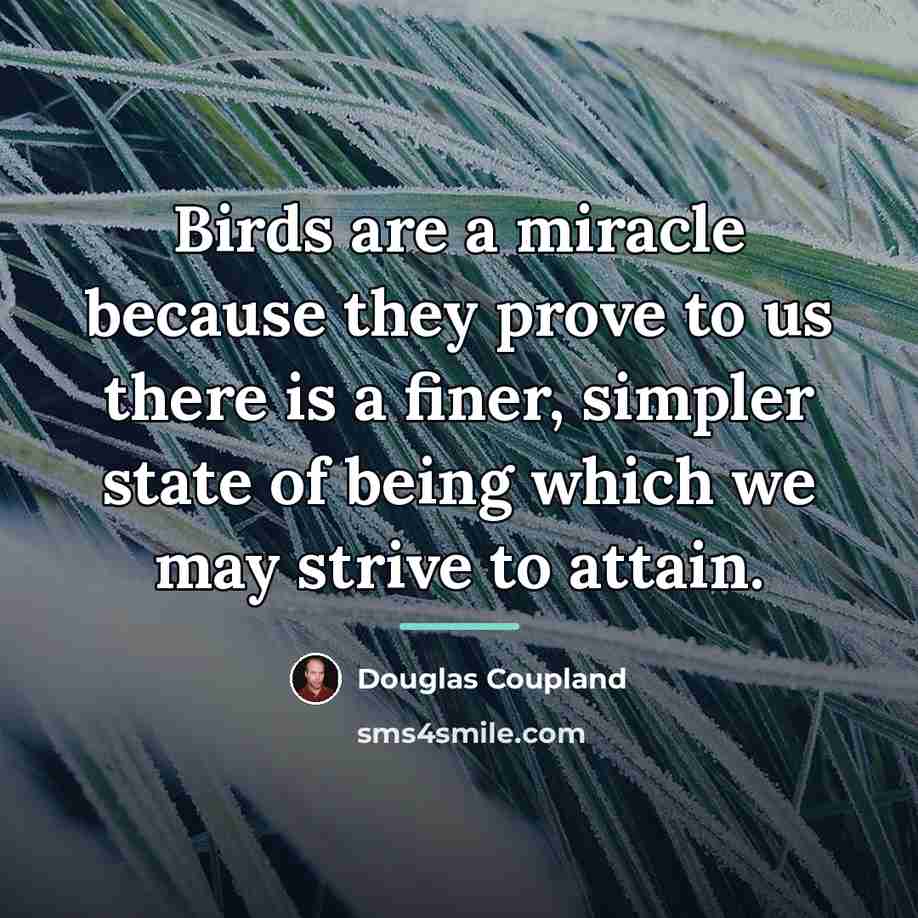 “Birds are a miracle because they prove to us there…” quote by Douglas Coupland