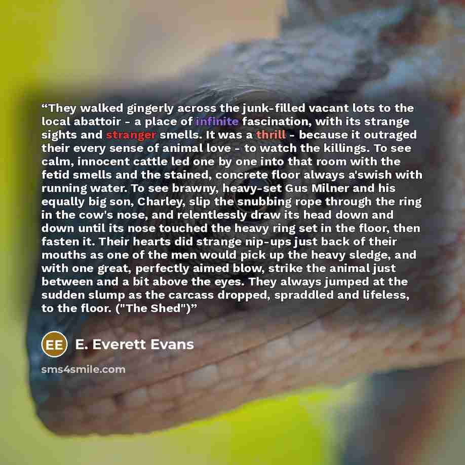 “They walked gingerly across the junk-filled vacant lots to the local abattoir - a place of infinite fascination, with its strange sights and stranger smells. It was a thrill - because it outraged their every sense of animal love - to watch the killings. To see calm, innocent cattle led one by one…” quote by E. Everett Evans