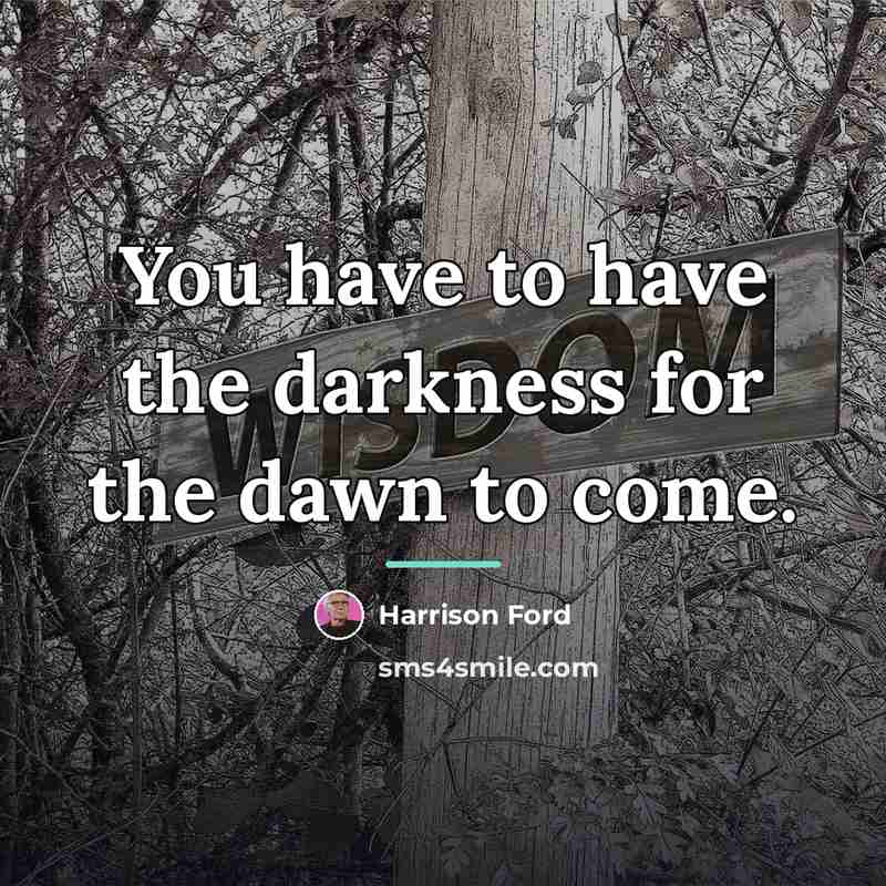 “You have to have the darkness for the dawn to…” quote by Harrison Ford