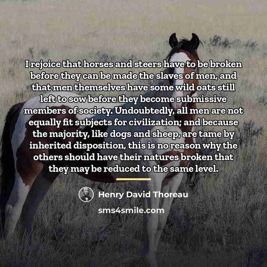 “I rejoice that horses and steers have to be broken…” quote by Henry David Thoreau