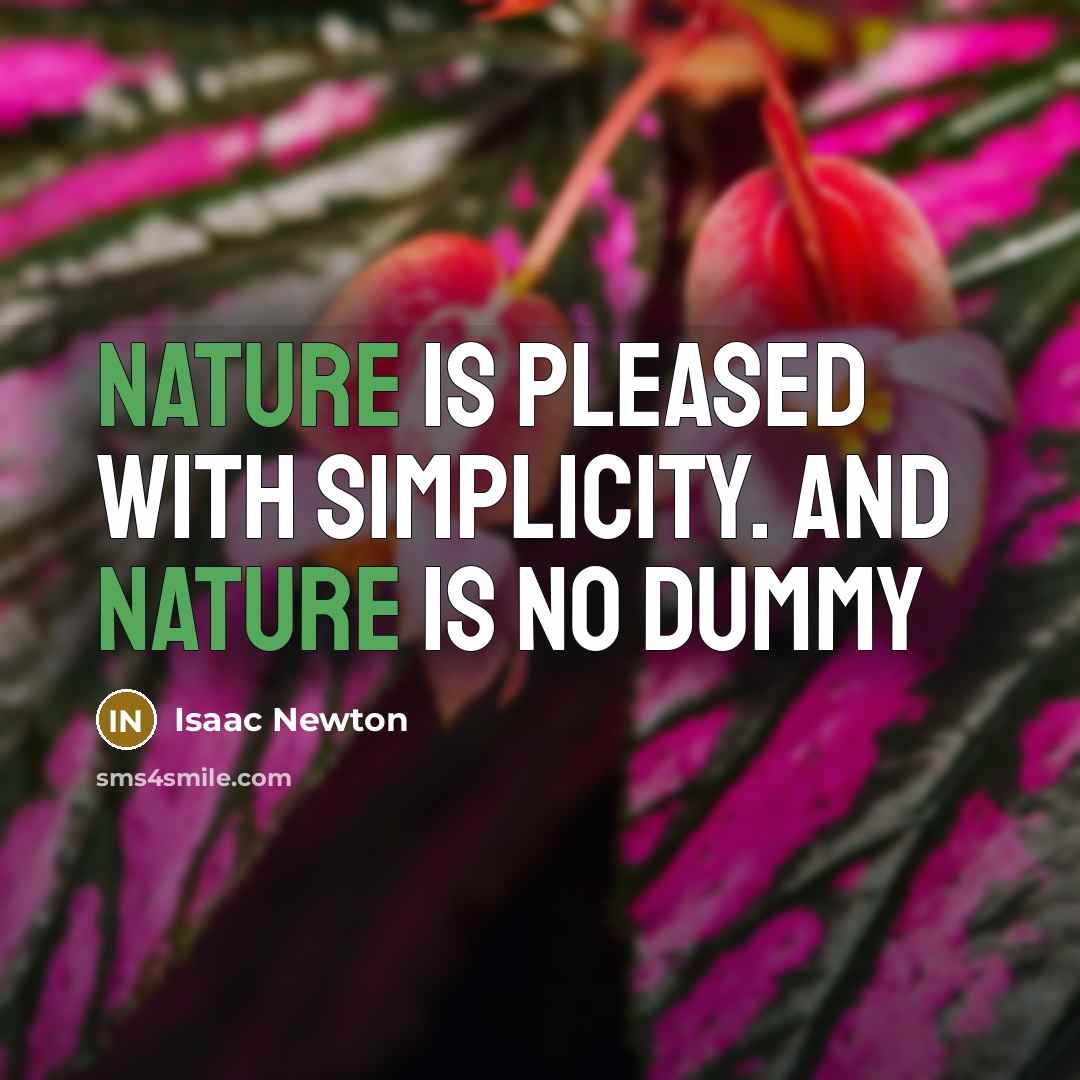 “Nature is pleased with simplicity. And nature is no dummy…” quote by Isaac Newton