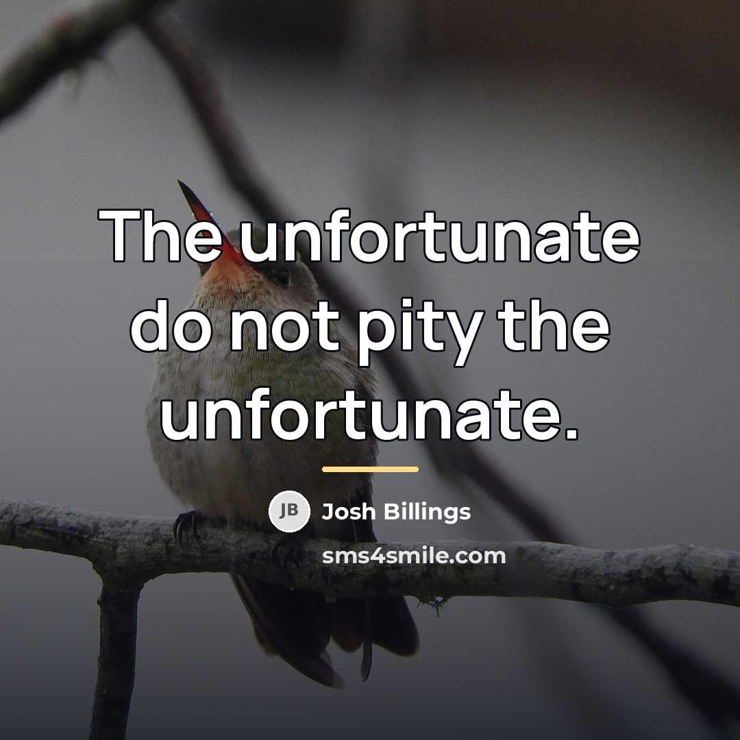 “The unfortunate do not pity the unfortunate.…” quote by Josh Billings