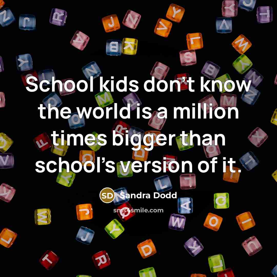 “School kids don't know the world is a million times…” quote by Sandra Dodd
