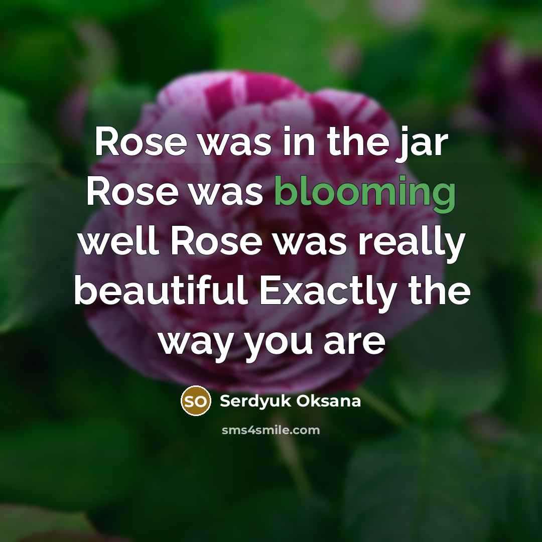 “Rose was in the jar Rose was blooming well Rose…” quote by Serdyuk Oksana
