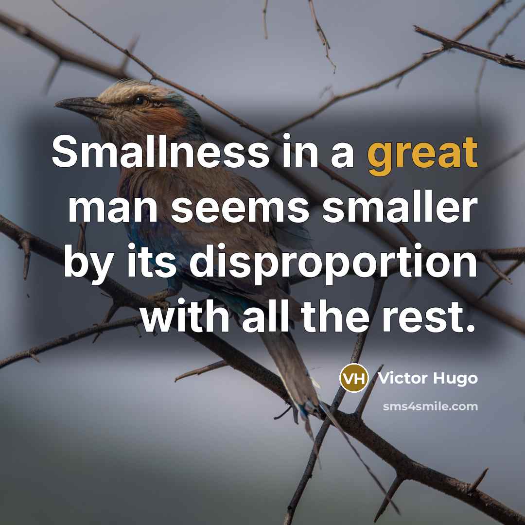 “Smallness in a great man seems smaller by its disproportion with all the rest.” quote by Victor Hugo