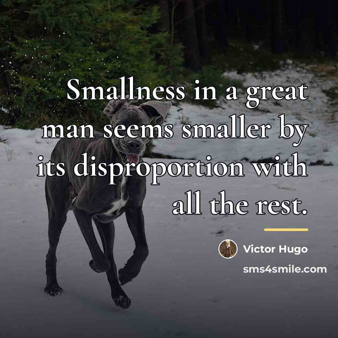 “Smallness in a great man seems smaller by its disproportion…” quote by Victor Hugo