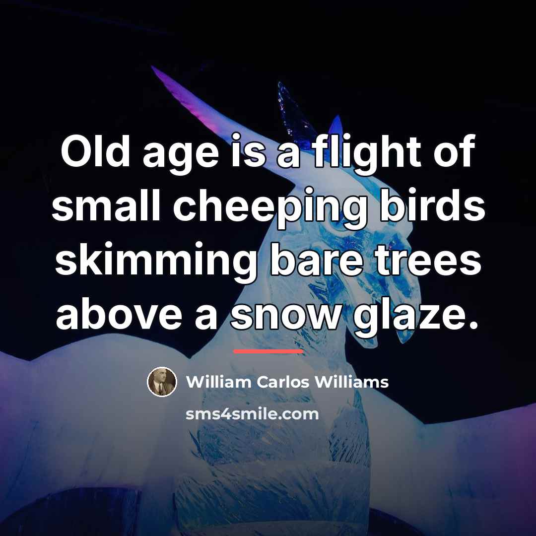 “Old age is a flight of small cheeping birds skimming…” quote by William Carlos Williams