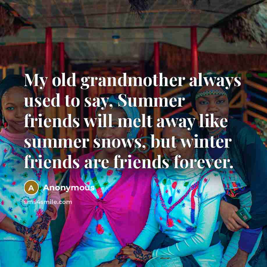 “My old grandmother always used to say, Summer friends will…” quote by Anonymous