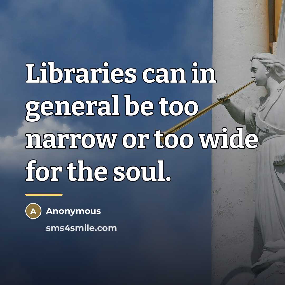 “Libraries can in general be too narrow or too wide…” quote by Anonymous