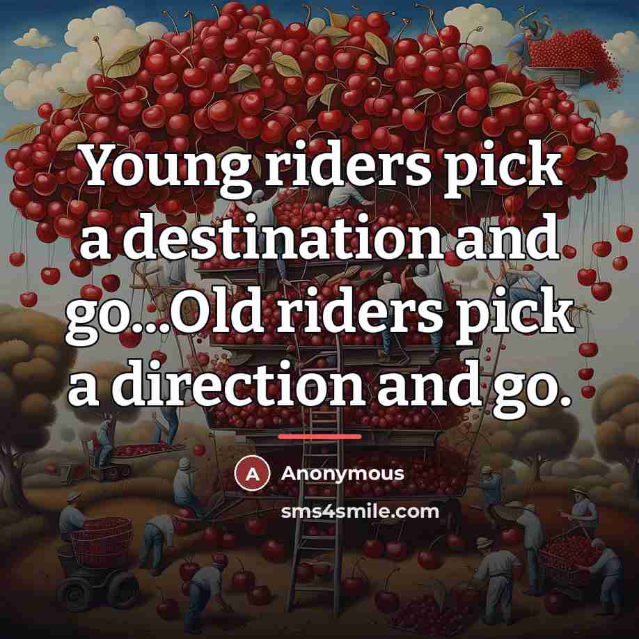 “Young riders pick a destination and go...Old riders pick a…” quote by Anonymous