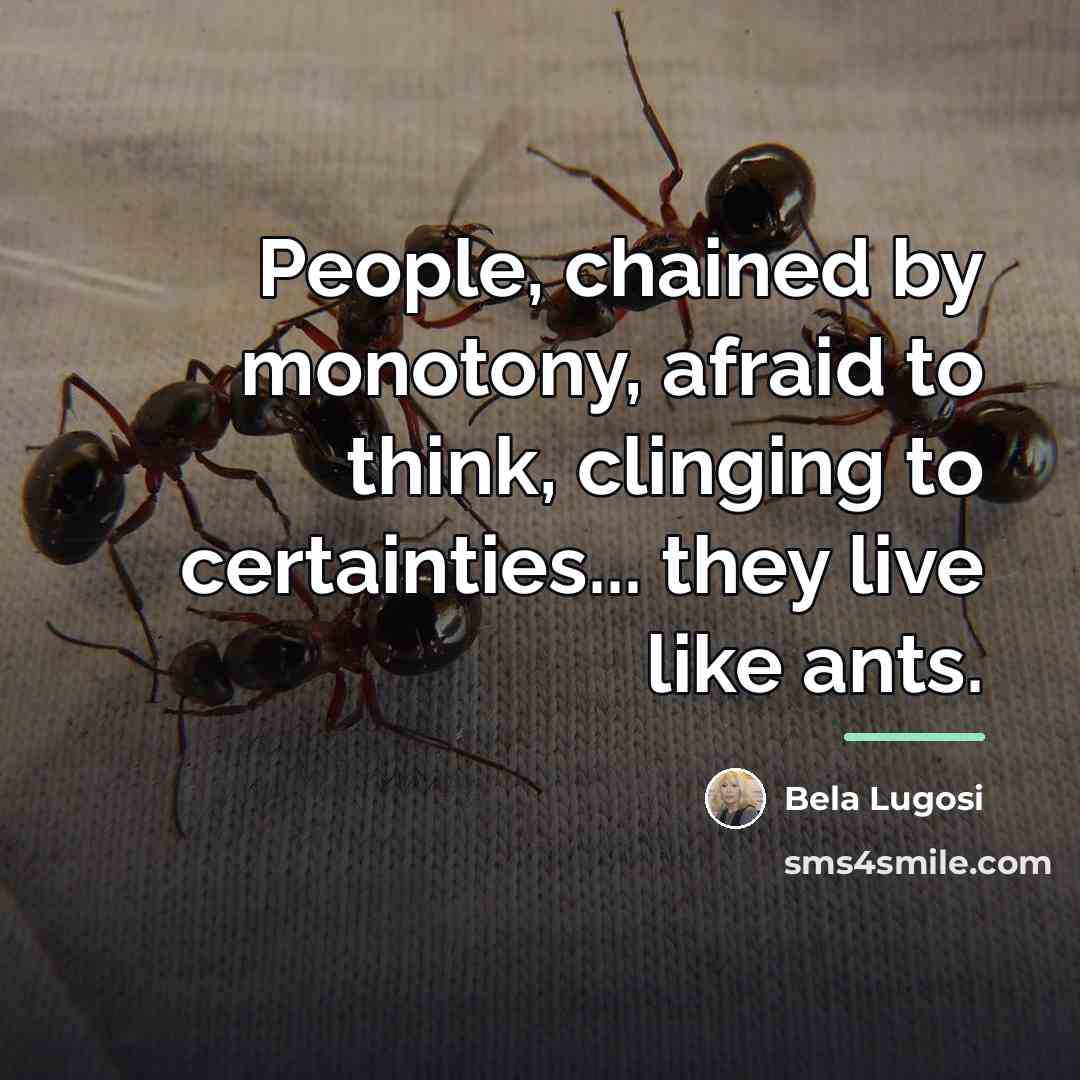“People, chained by monotony, afraid to think, clinging to certainties...…” quote by Bela Lugosi