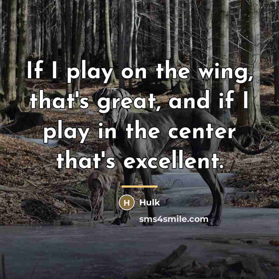“If I play on the wing, that's great, and if…” quote by Hulk