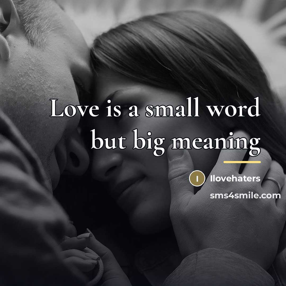 “Love is a small word but big meaning…” quote by Ilovehaters