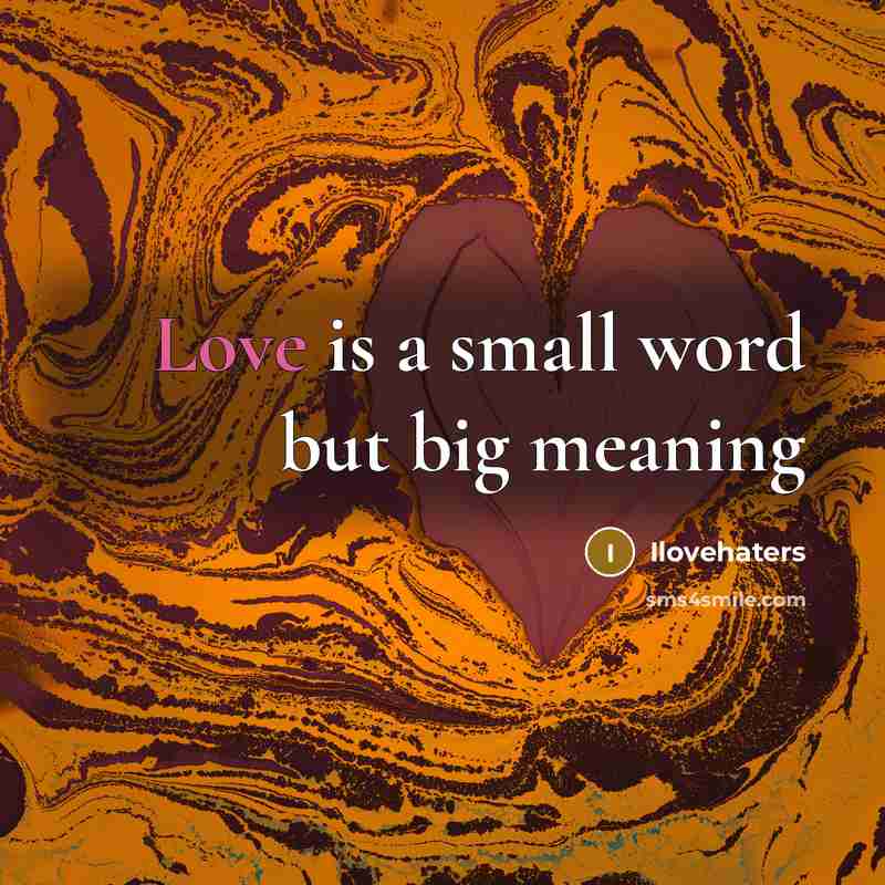 “Love is a small word but big meaning” quote by Ilovehaters