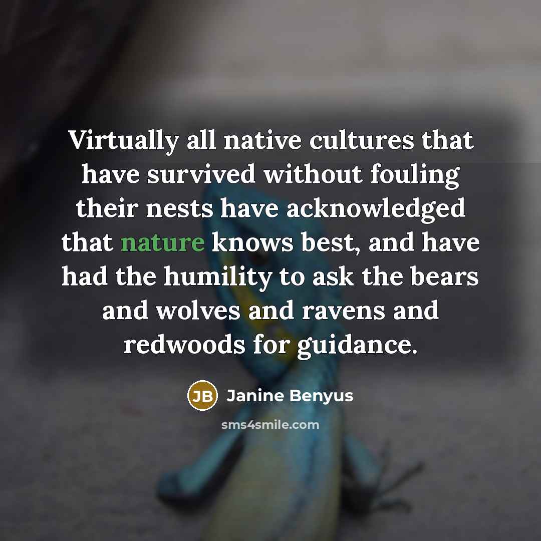 “Virtually all native cultures that have survived without fouling their…” quote by Janine Benyus