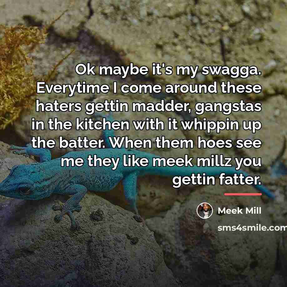 “Ok maybe it's my swagga. Everytime I come around these…” quote by Meek Mill