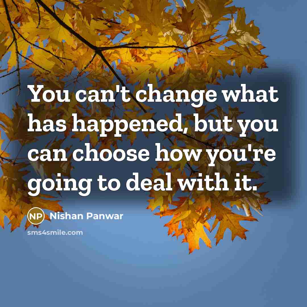 “You can't change what has happened, but you can choose…” quote by Nishan Panwar