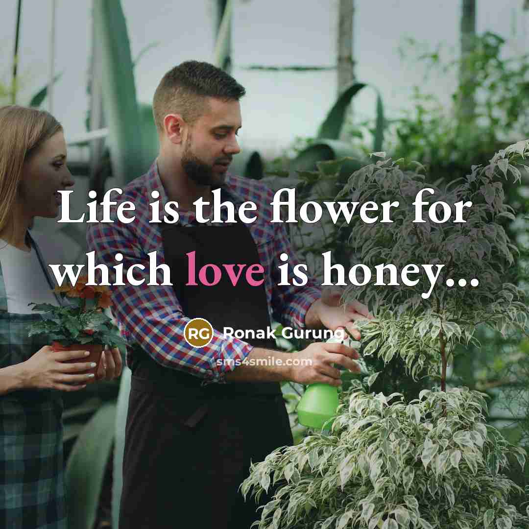 “Life is the flower for which love is honey.....…” quote by Ronak Gurung