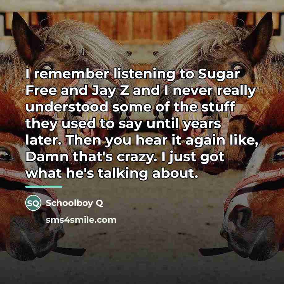 “I remember listening to Sugar Free and Jay Z and…” quote by Schoolboy Q