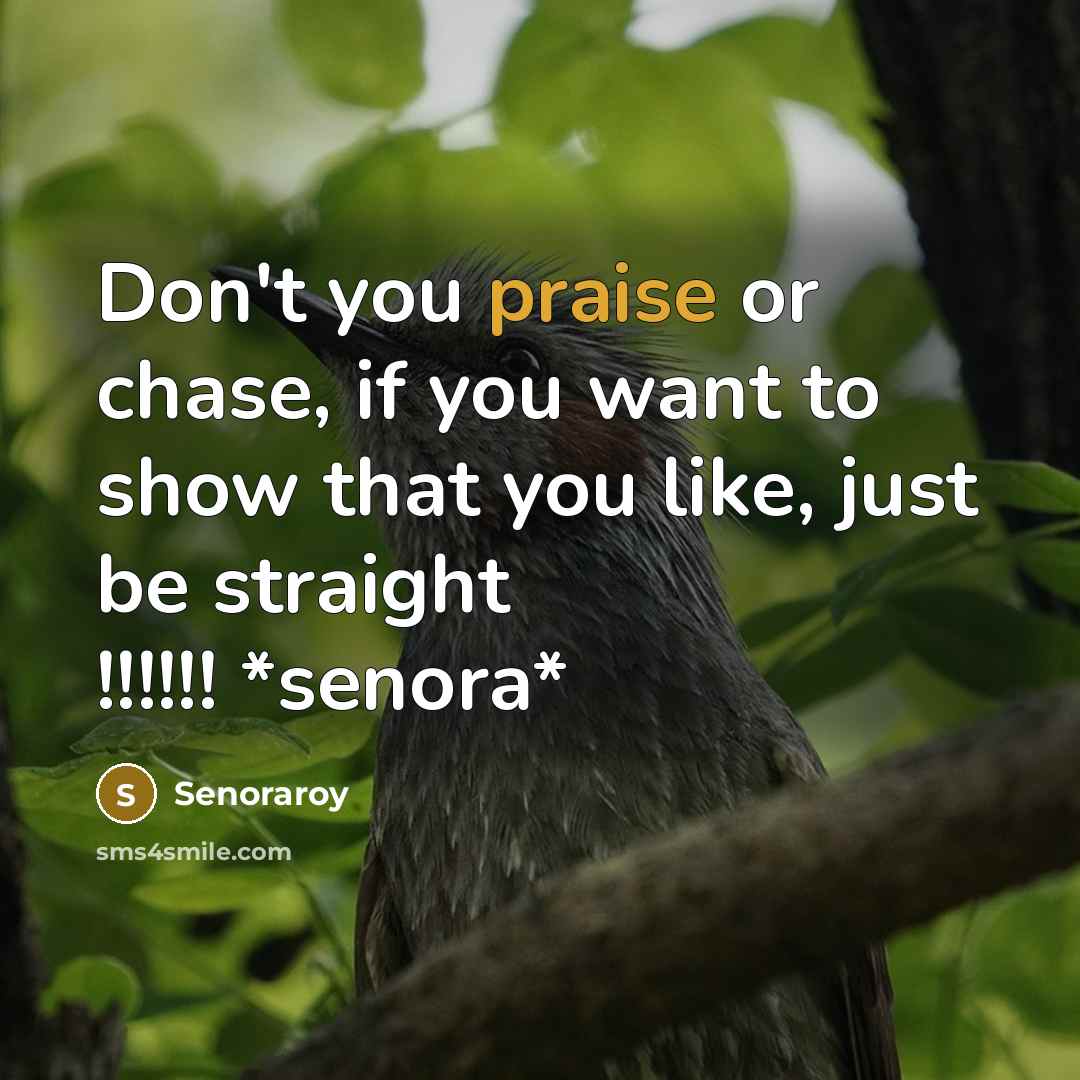 “Don't you praise or chase, if you want to show…” quote by Senoraroy