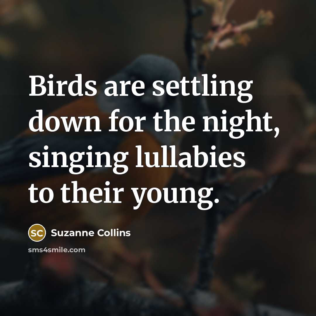 “Birds are settling down for the night, singing lullabies to…” quote by Suzanne Collins