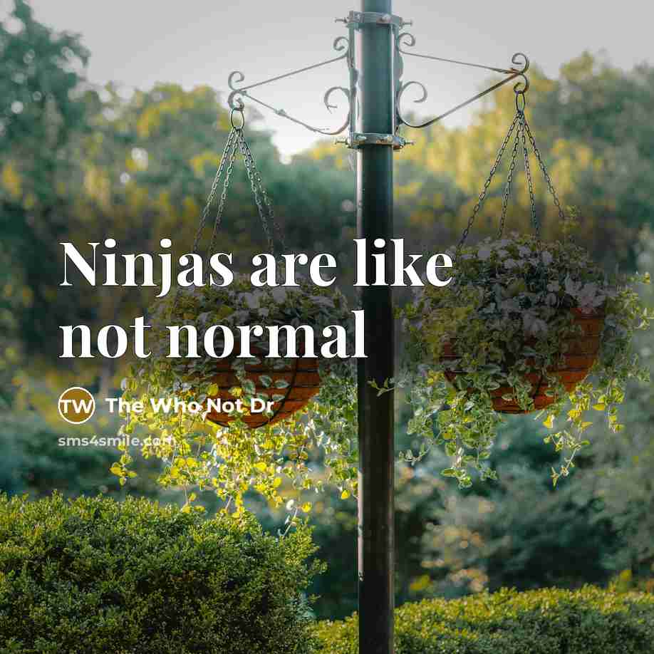 “Ninjas are like not normal” quote by The Who Not Dr