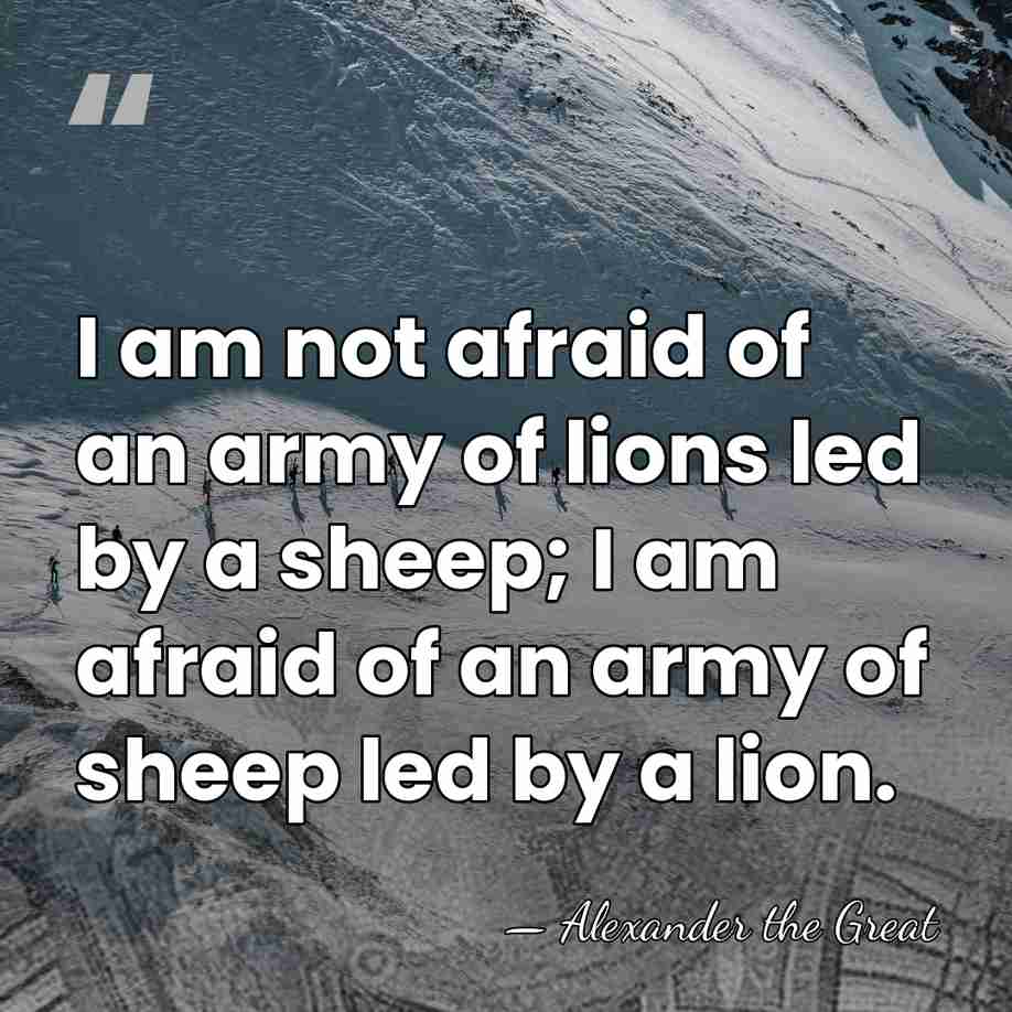 I am not afraid of an army of lions led by a&hellip; - Alexander the Great