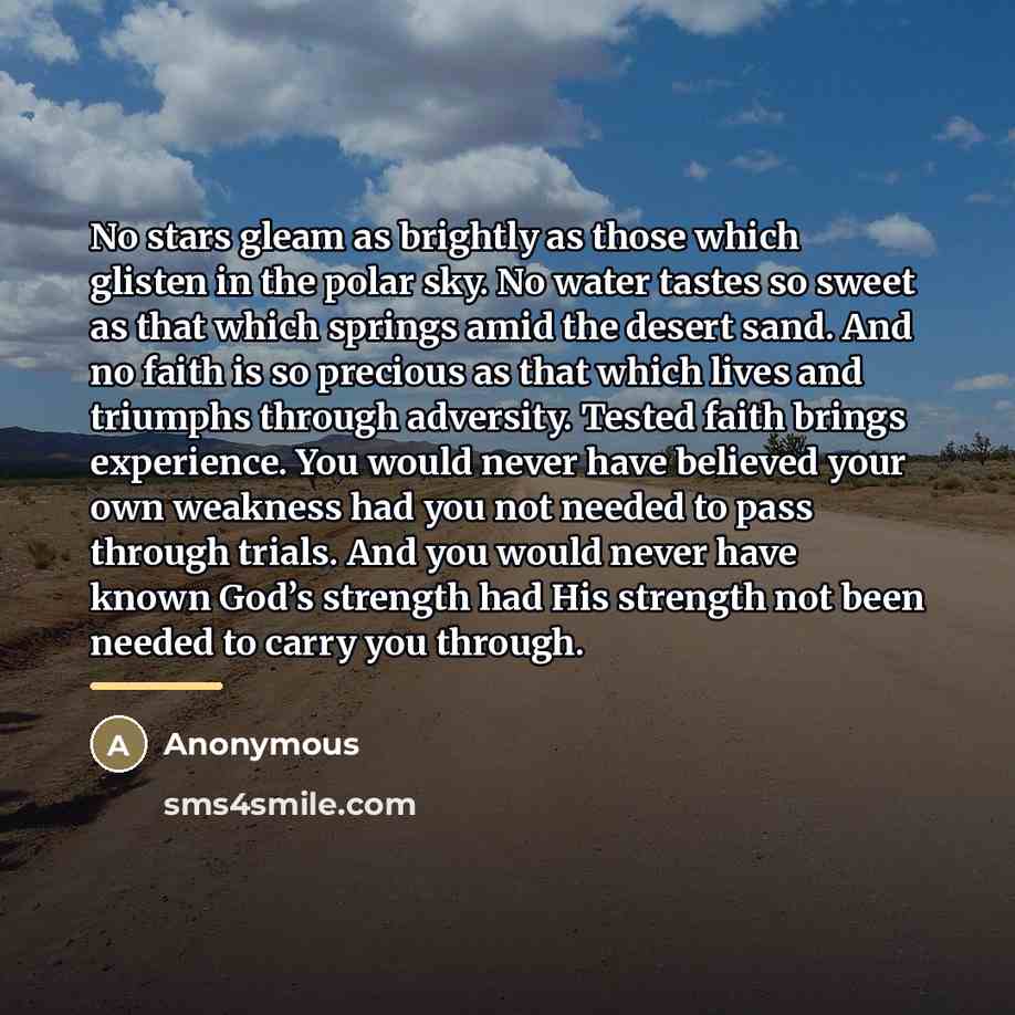 “No stars gleam as brightly as those which glisten in…” quote by Anonymous