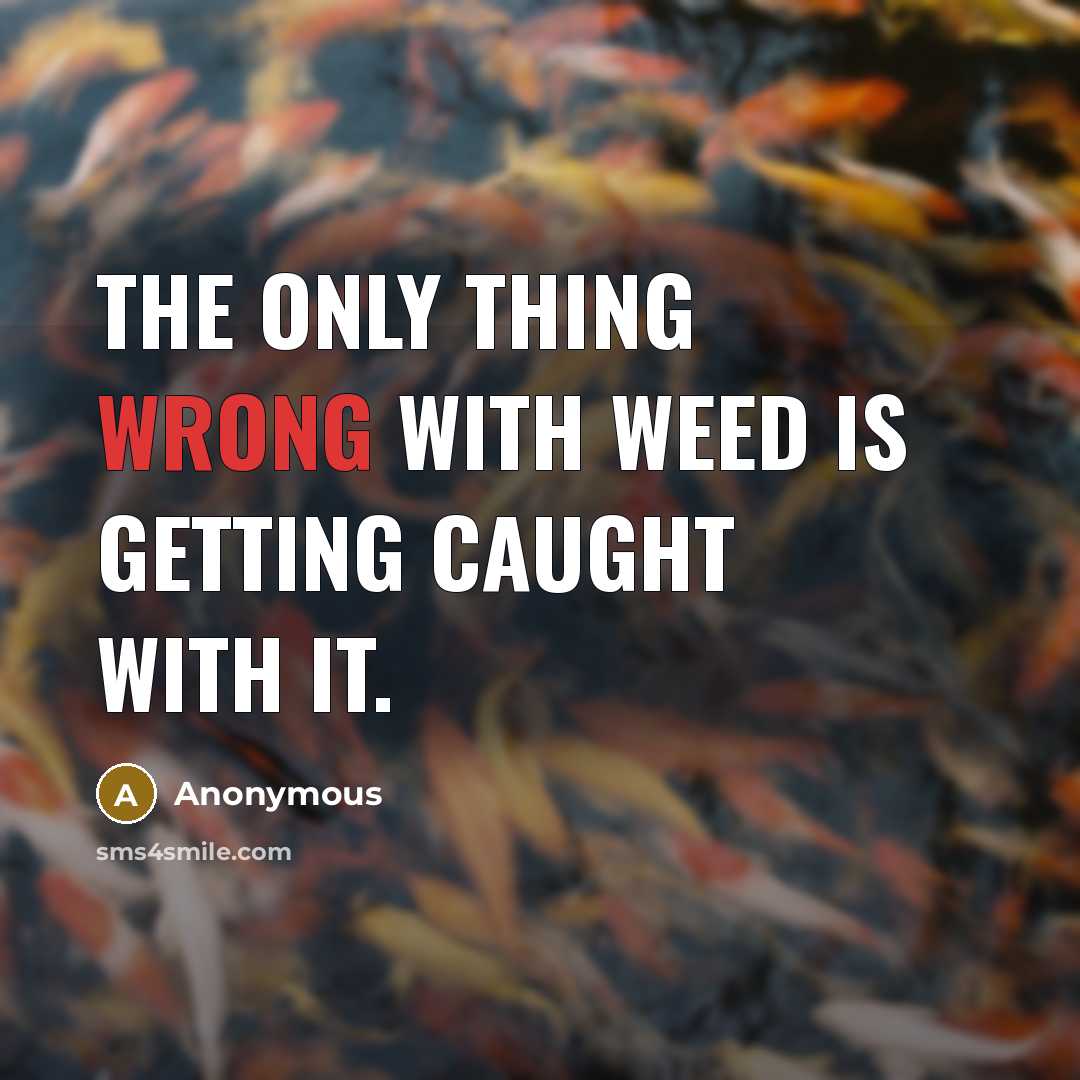 “The only thing wrong with weed is getting caught with it.” quote by Anonymous