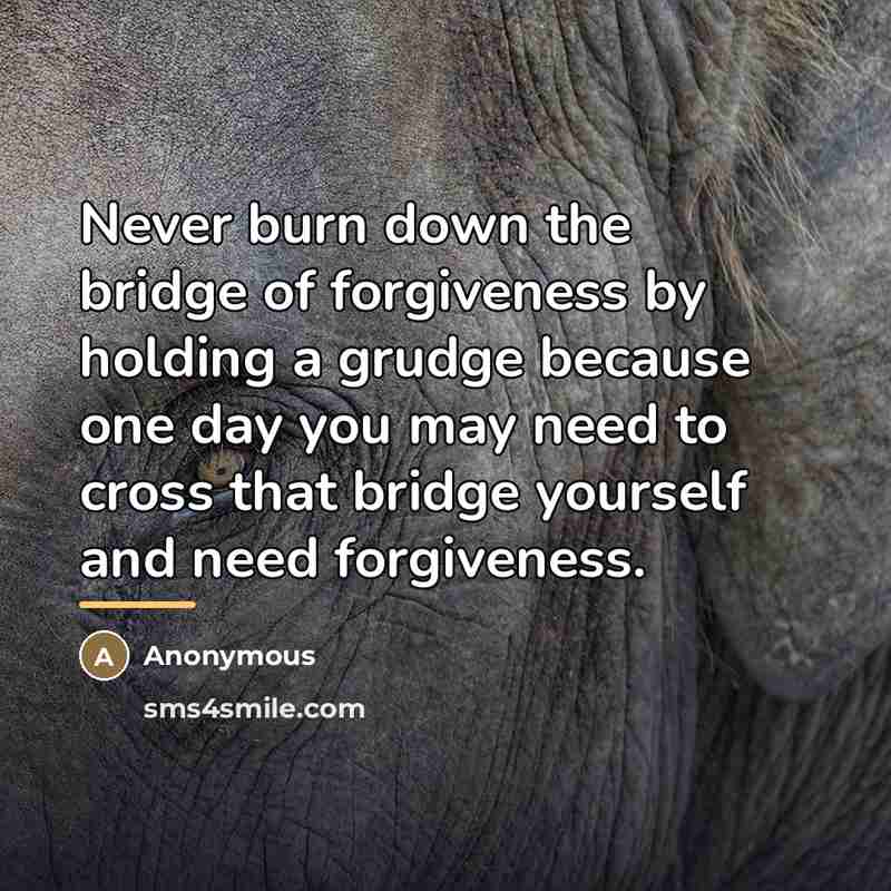 “Never burn down the bridge of forgiveness by holding a…” quote by Anonymous