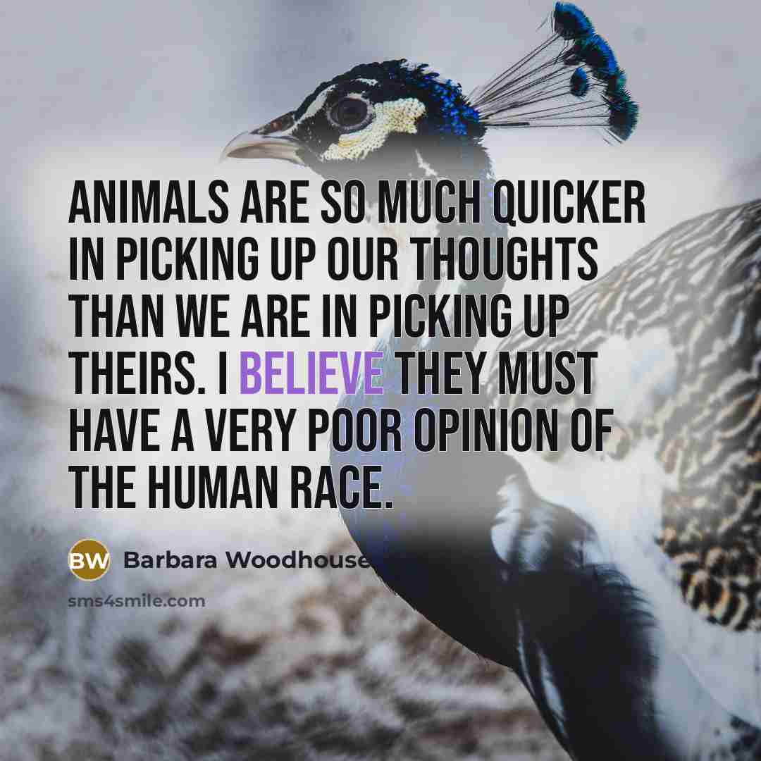 “Animals are so much quicker in picking up our thoughts…” quote by Barbara Woodhouse