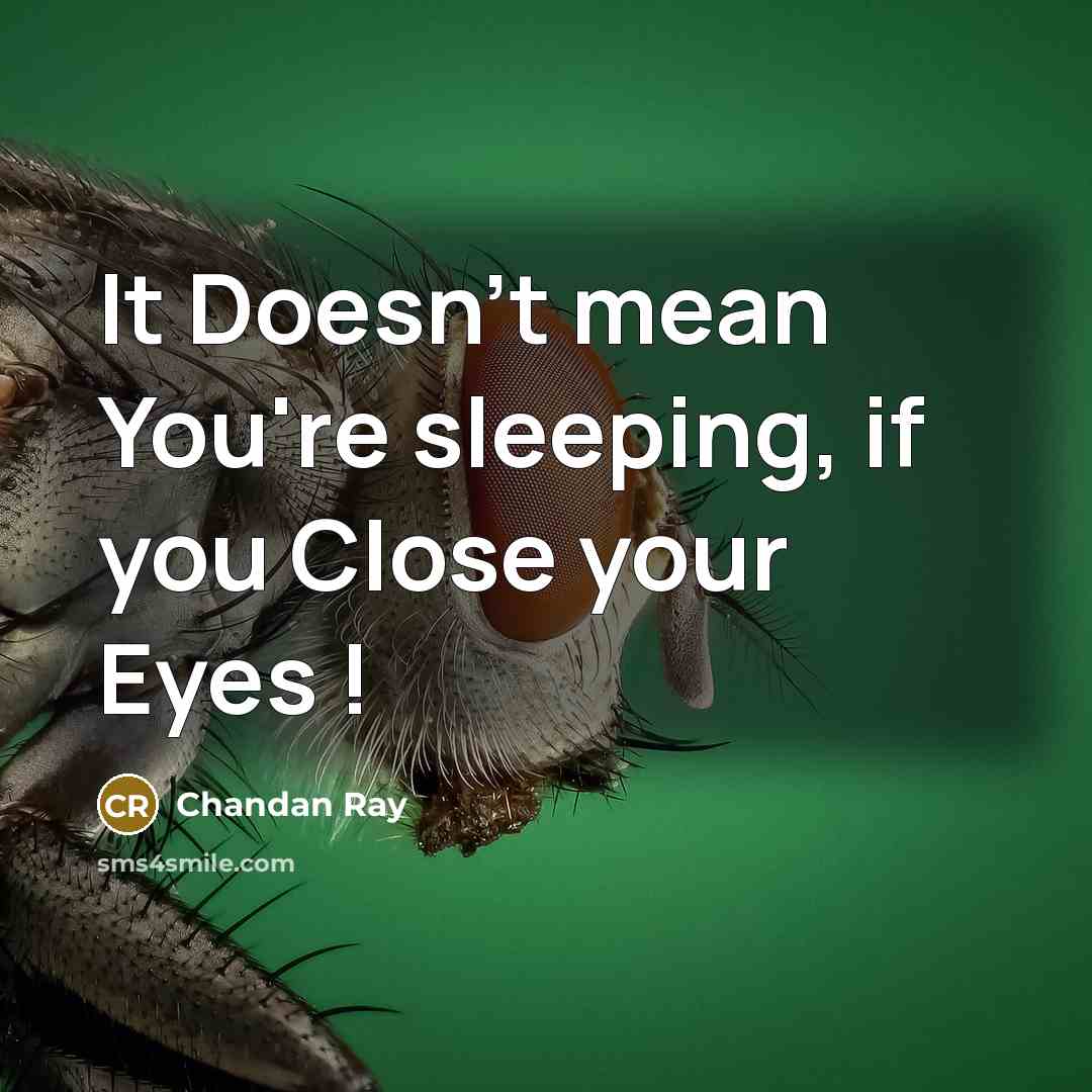 “It Doesn't mean You're sleeping, if you Close your Eyes…” quote by Chandan Ray