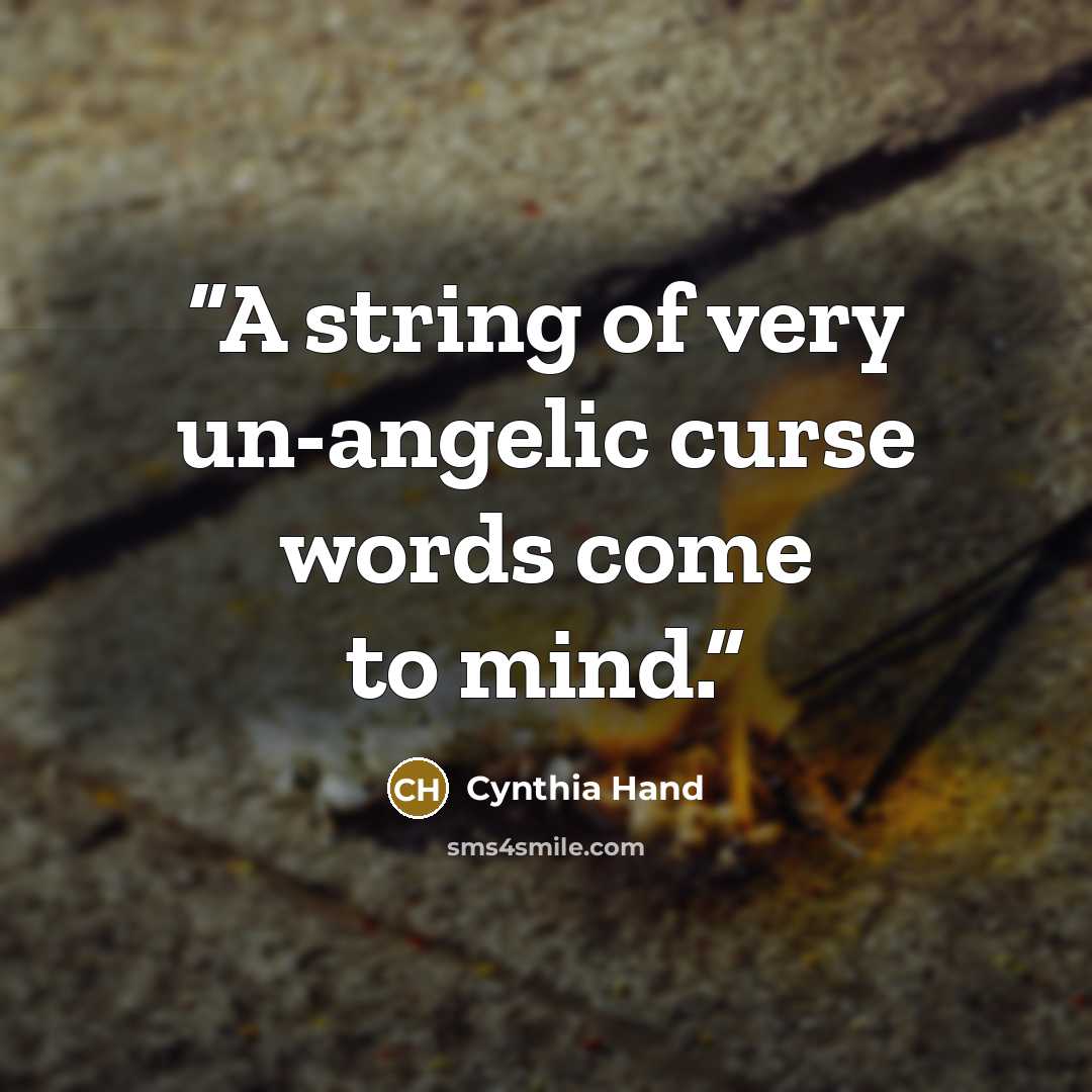 “A string of very un-angelic curse words come to mind.” quote by Cynthia Hand