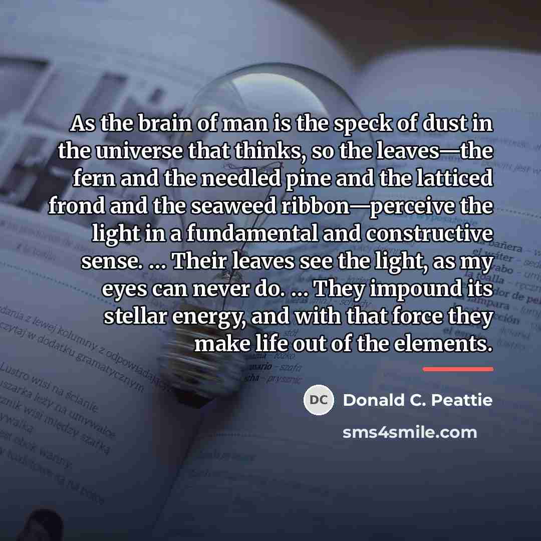 “As the brain of man is the speck of dust…” quote by Donald C. Peattie