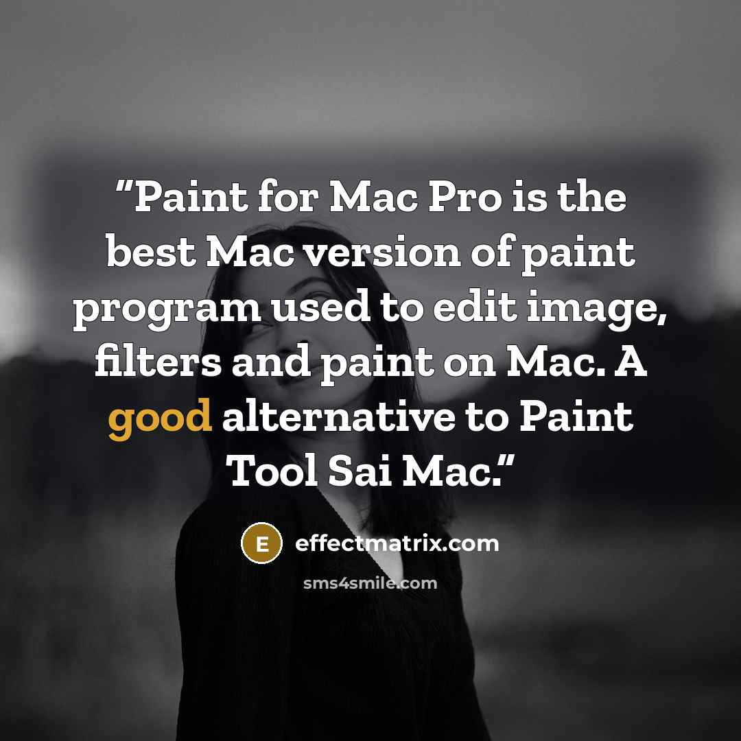 “Paint for Mac Pro is the best Mac version of paint program used to edit image, filters and paint on Mac. A good alternative to Paint Tool Sai Mac.” quote by effectmatrix.com