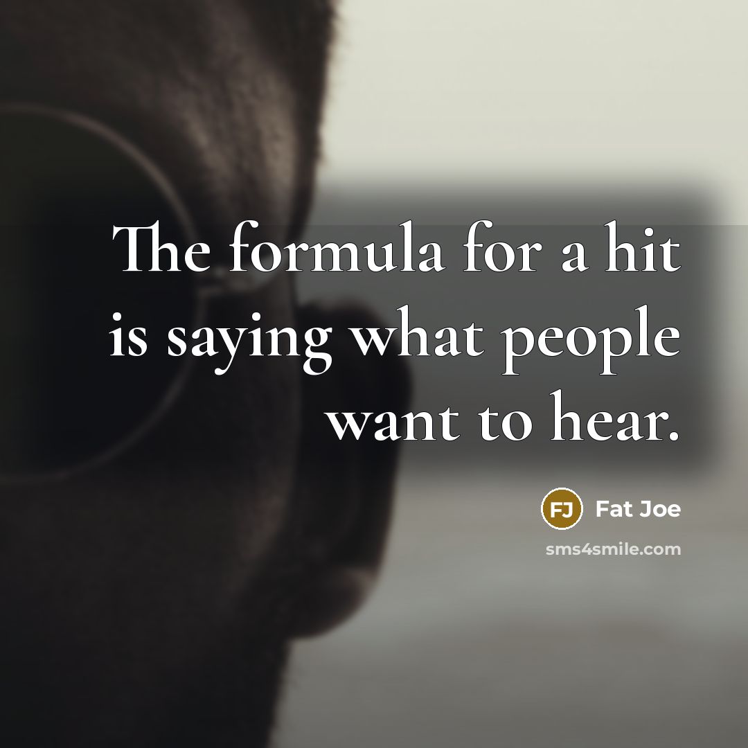 “The formula for a hit is saying what people want…” quote by Fat Joe
