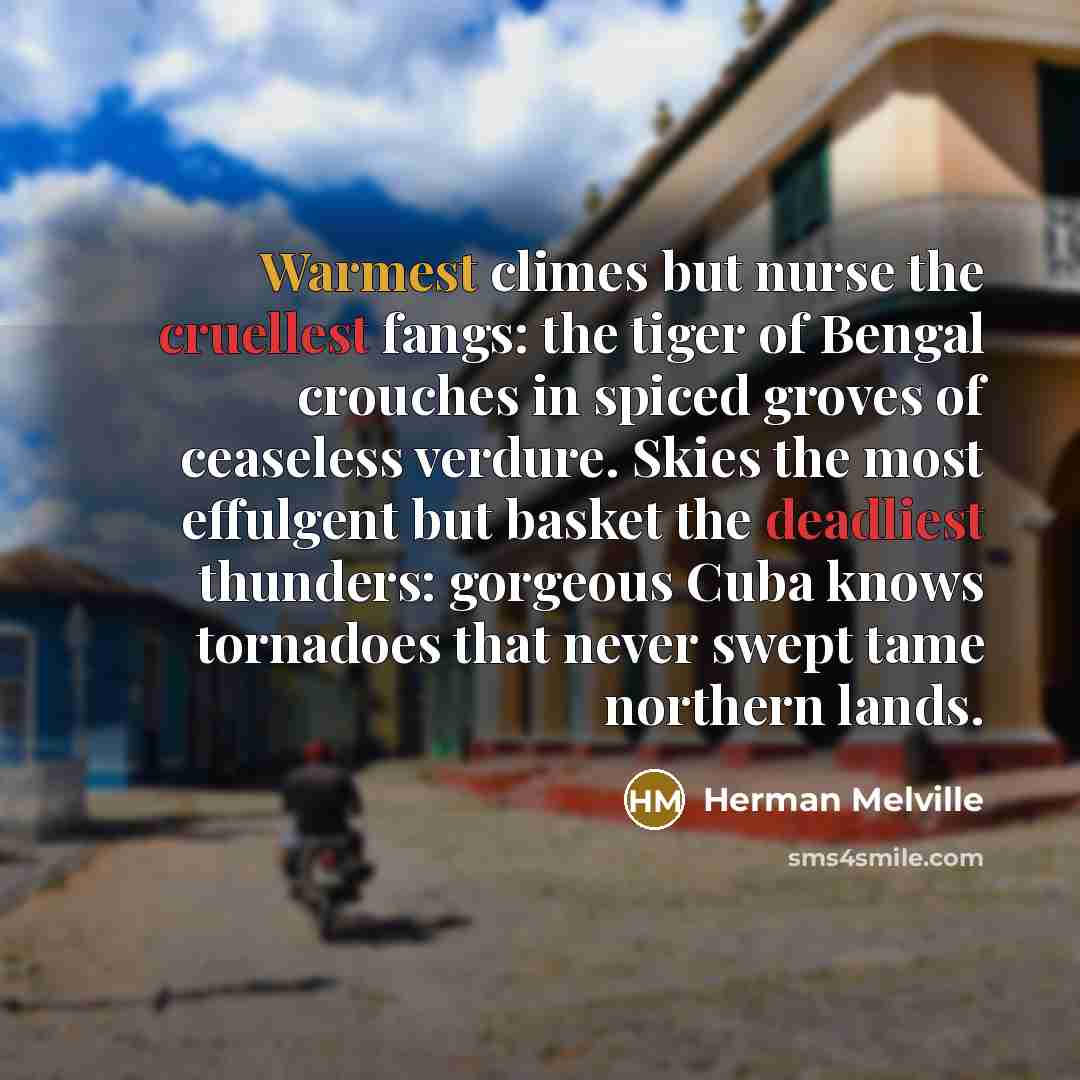 “Warmest climes but nurse the cruellest fangs: the tiger of…” quote by Herman Melville