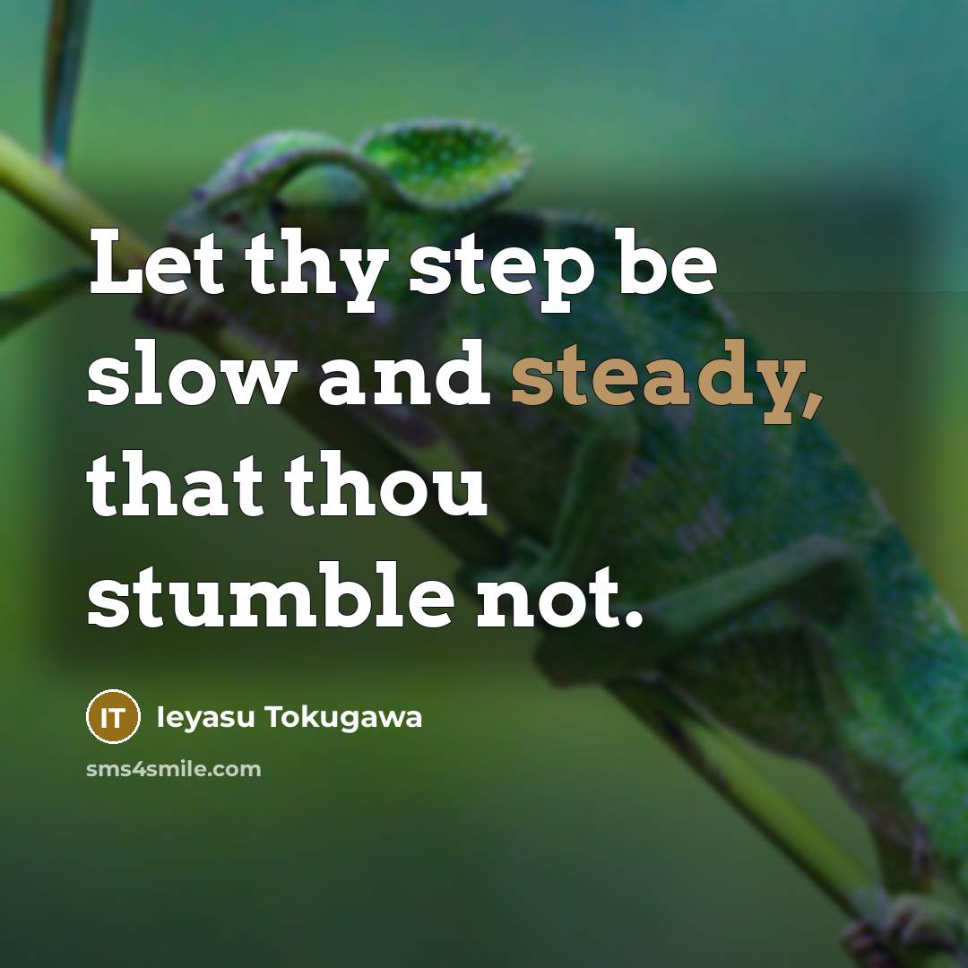 “Let thy step be slow and steady, that thou stumble…” quote by Ieyasu Tokugawa