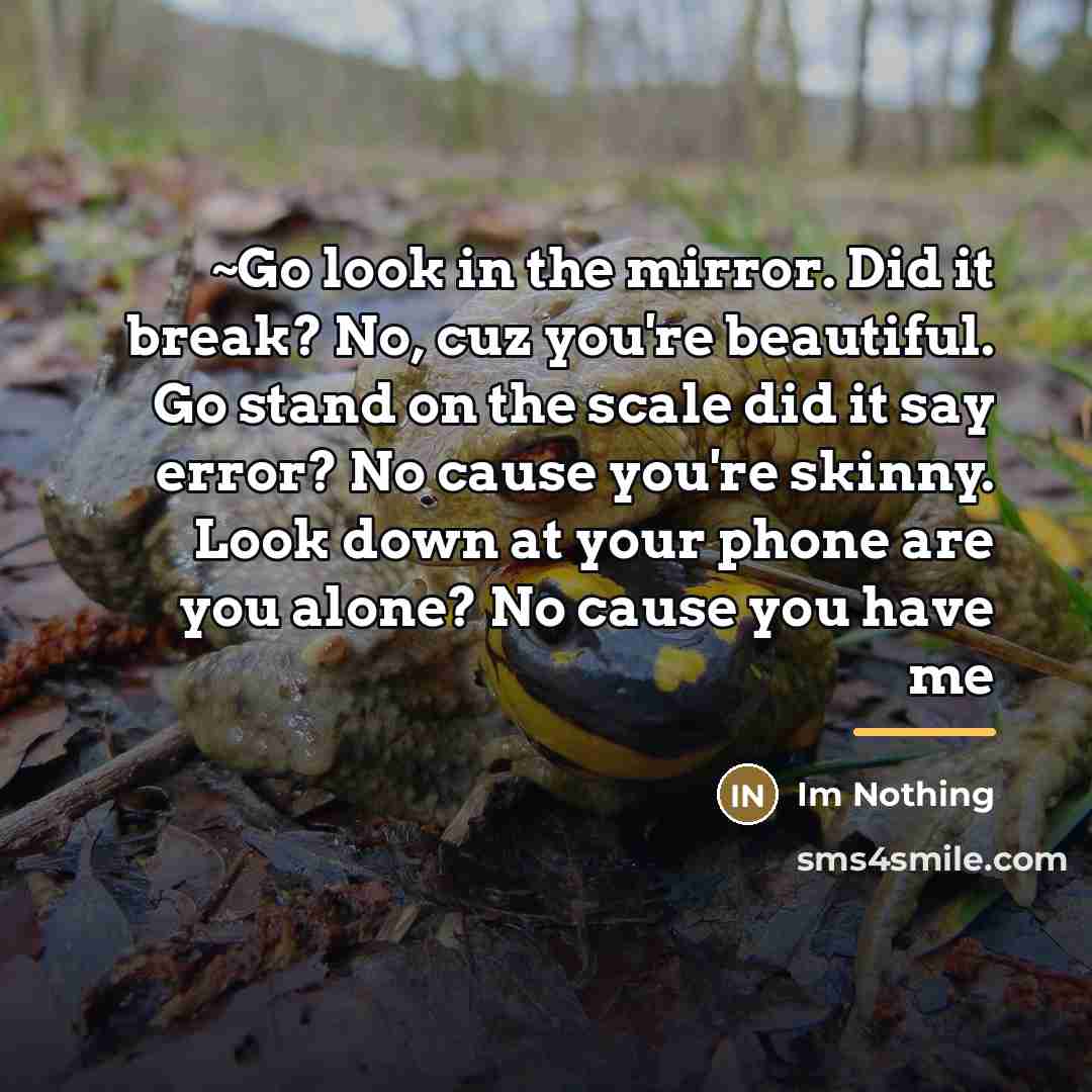 “~Go look in the mirror. Did it break? No, cuz…” quote by Im Nothing