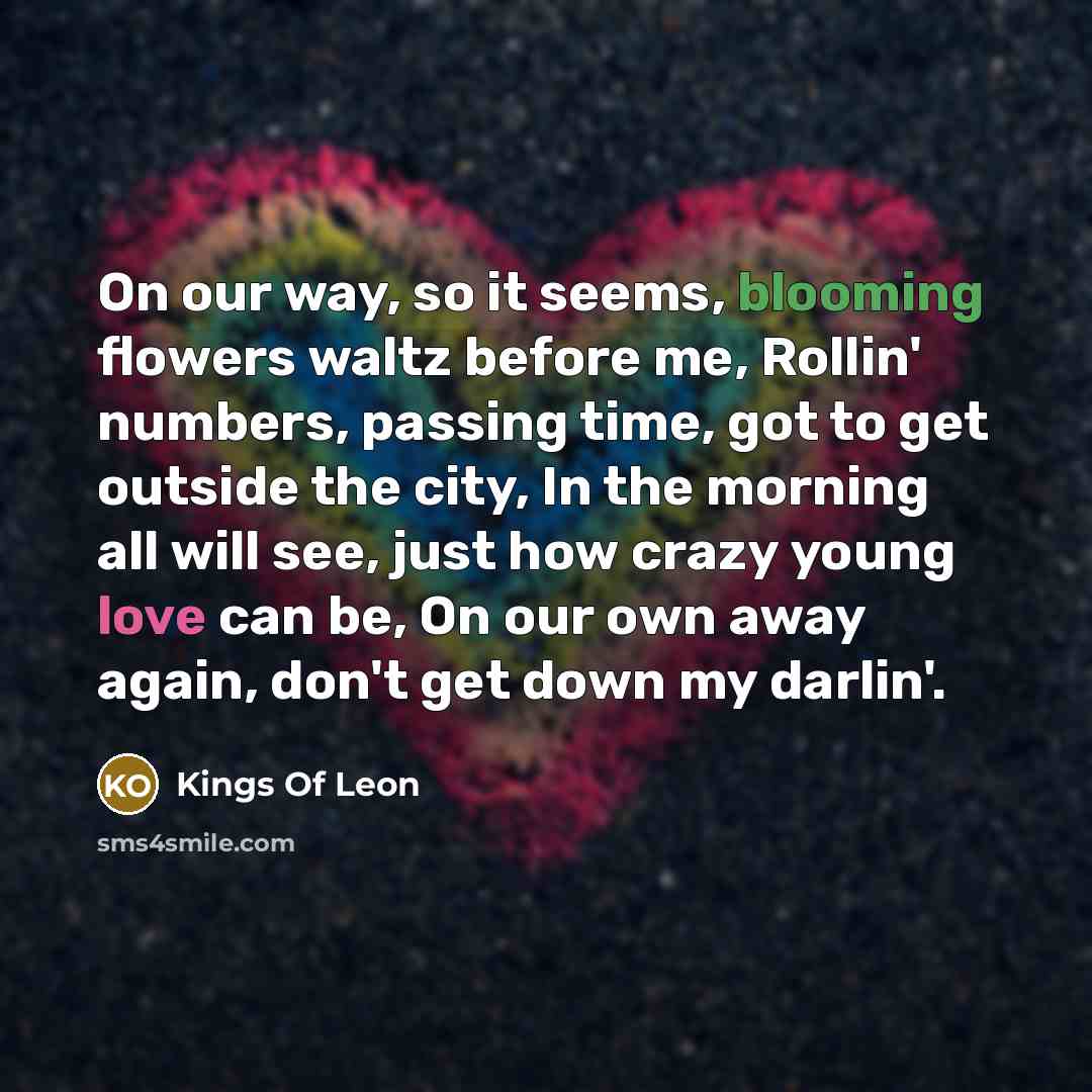 “On our way, so it seems, blooming flowers waltz before me, Rollin' numbers, passing time, got to get outside the city, In the morning all will see, just how crazy young love can be, On our own away again, don't get down my darlin'.” quote by Kings Of Leon