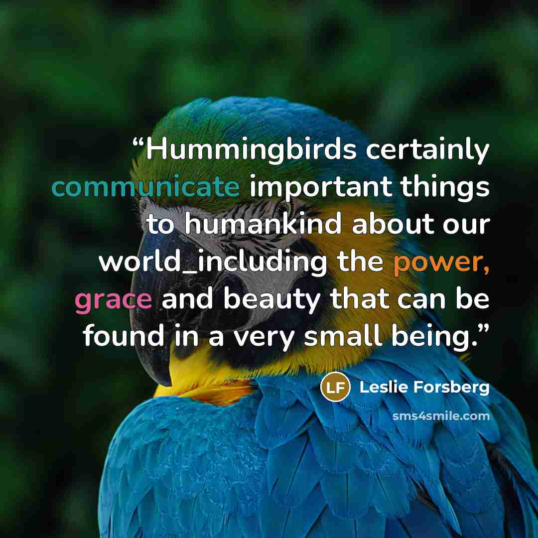 “Hummingbirds certainly communicate important things to humankind about our world_including the power, grace and beauty that can be found in a very small being.” quote by Leslie Forsberg