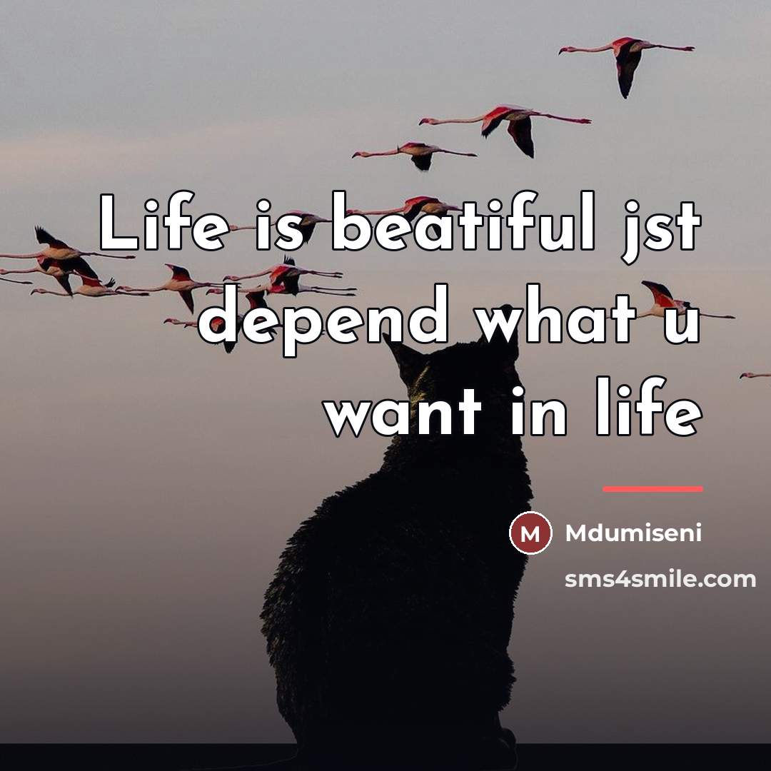 “Life is beatiful jst depend what u want in life…” quote by Mdumiseni