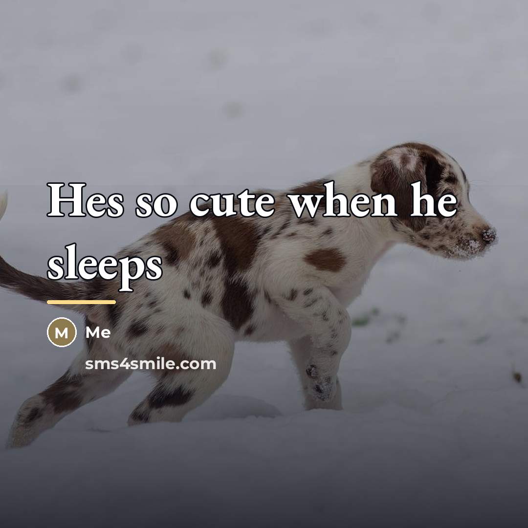 “Hes so cute when he sleeps…” quote by Me