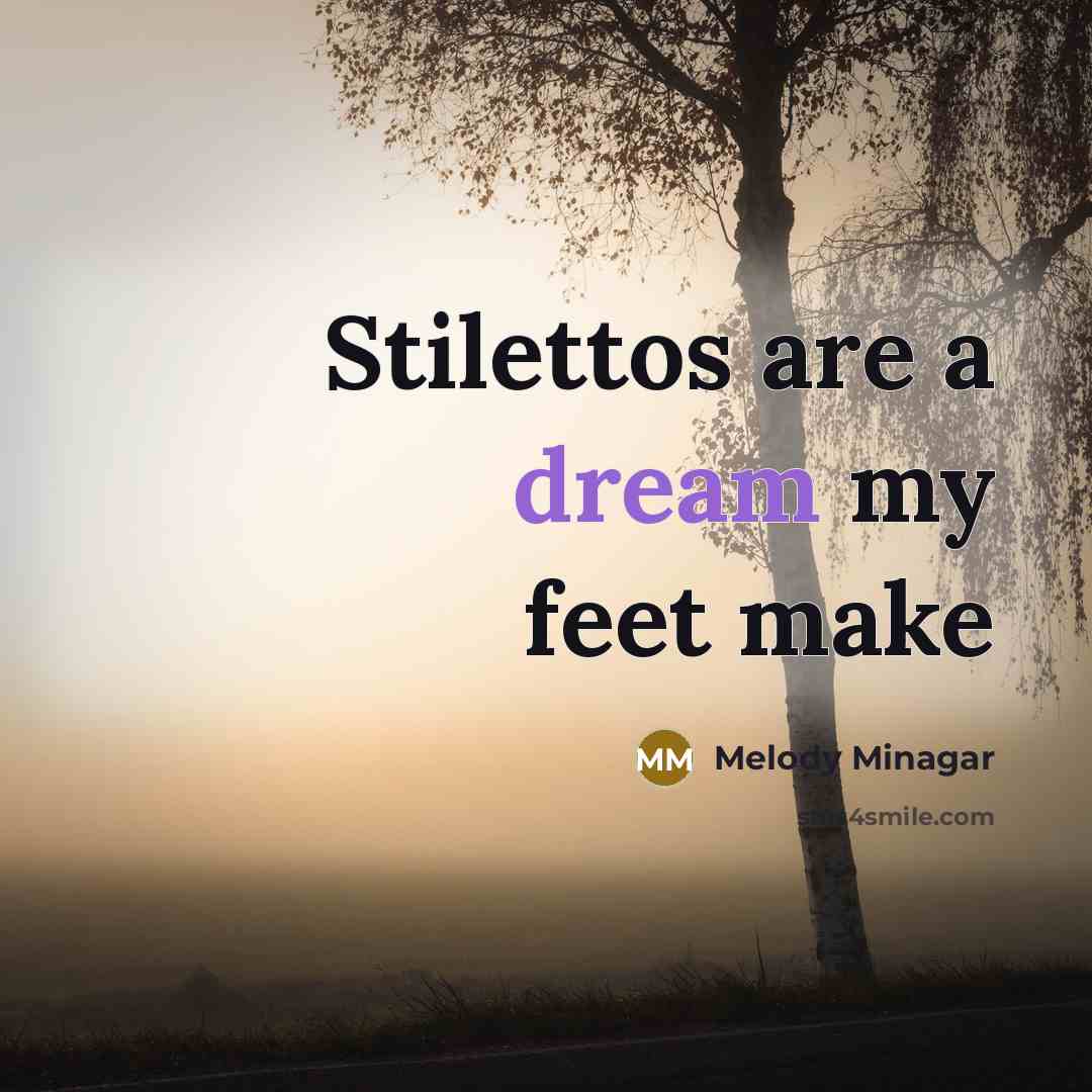 “Stilettos are a dream my feet make…” quote by Melody Minagar