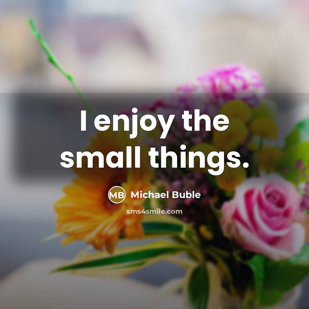 “I enjoy the small things.…” quote by Michael Buble