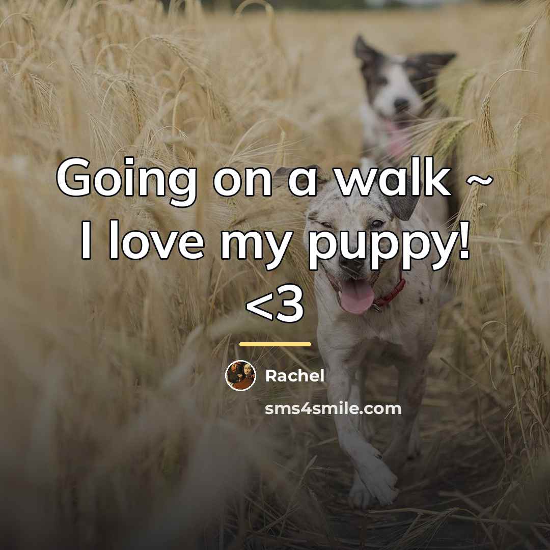 “Going on a walk ~ I love my puppy!…” quote by Rachel