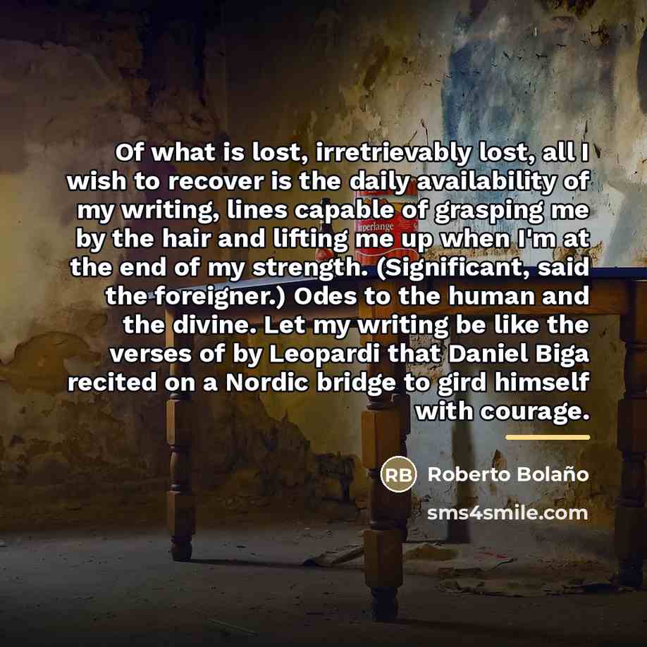 “Of what is lost, irretrievably lost, all I wish to…” quote by Roberto Bolano