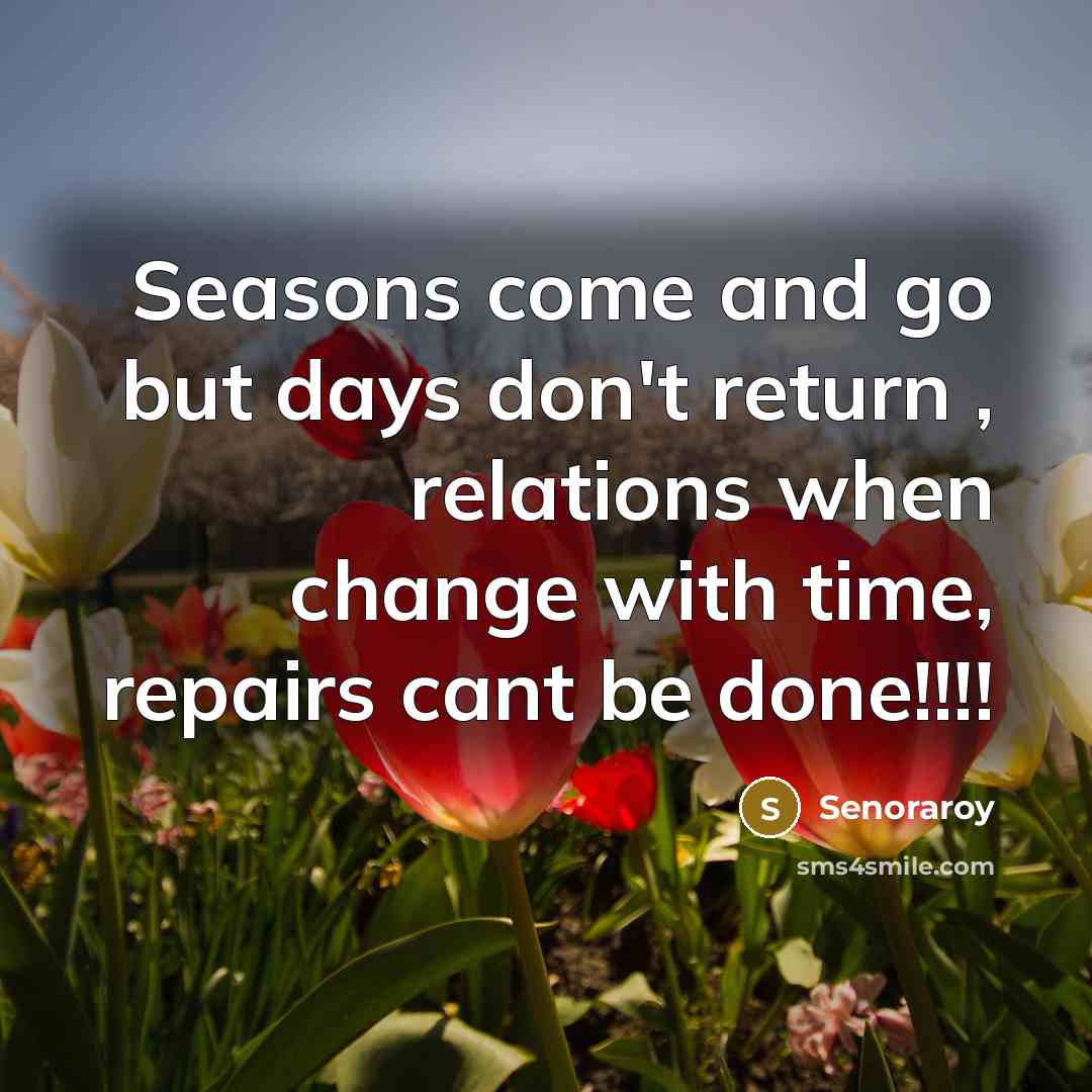 “Seasons come and go but days don't return , relations when change with time, repairs cant be done!!!!” quote by Senoraroy